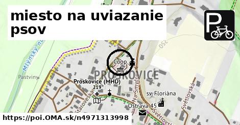 miesto na uviazanie psov