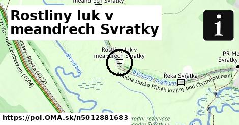 Rostliny luk v meandrech Svratky