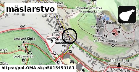 mäsiarstvo