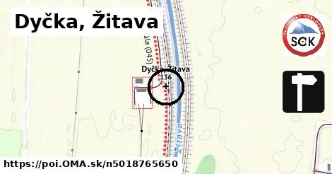 Dyčka, Žitava