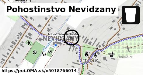 Pohostinstvo Nevidzany