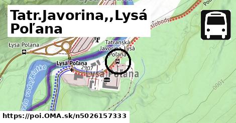 Tatr.Javorina,,Lysá Poľana