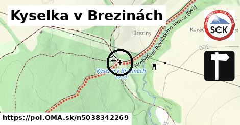 Kyselka v Brezinách