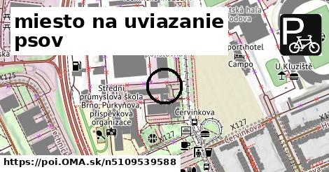 miesto na uviazanie psov