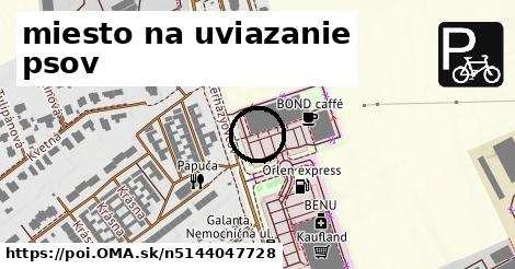 miesto na uviazanie psov