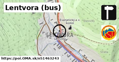 Lentvora (bus)