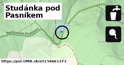 Studánka pod Pasníkem