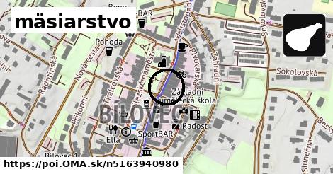 mäsiarstvo