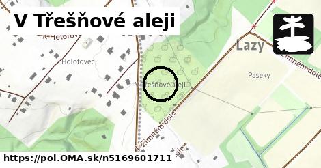 V Třešňové aleji