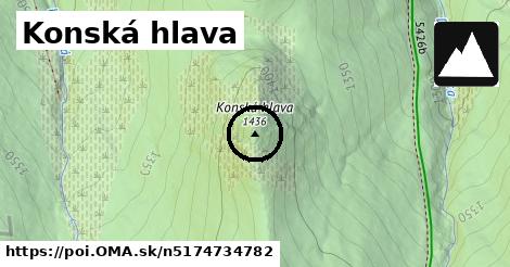 Konská hlava