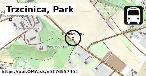 Trzcinica, Park