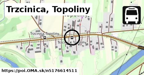 Trzcinica, Topoliny