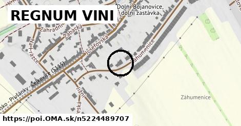 REGNUM VINI