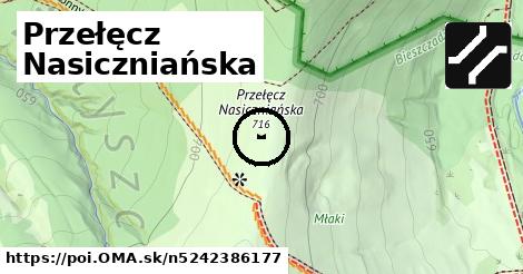 Przełęcz Nasiczniańska
