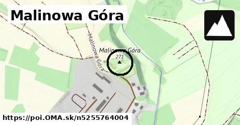 Malinowa Góra