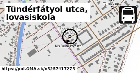 Tündérfátyol utca, lovasiskola