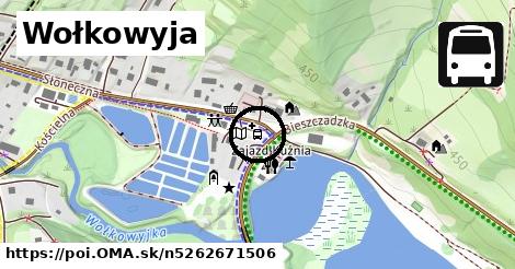 Wołkowyja