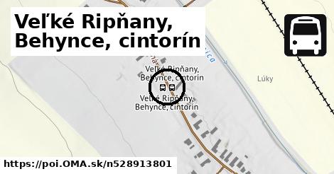 Veľké Ripňany, Behynce, cintorín