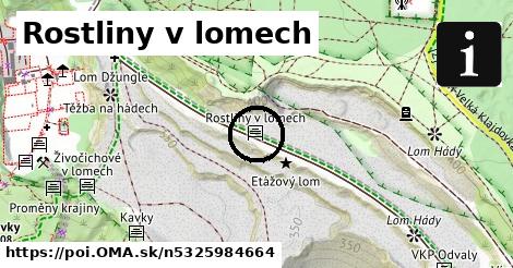 Rostliny v lomech