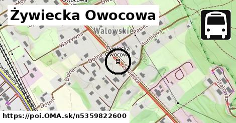 Żywiecka Owocowa