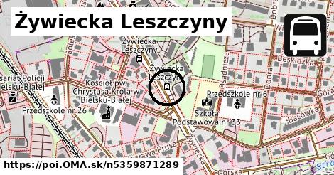 Żywiecka Leszczyny