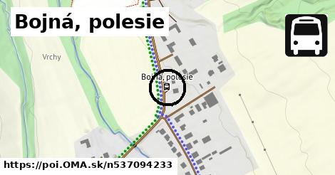 Bojná, polesie