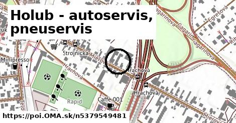 Holub - autoservis, pneuservis