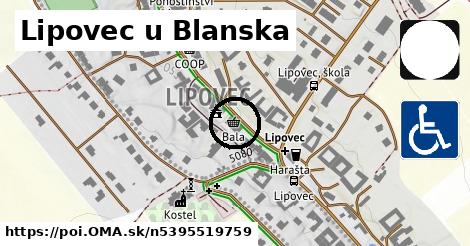 Lipovec u Blanska