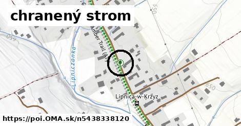 chranený strom