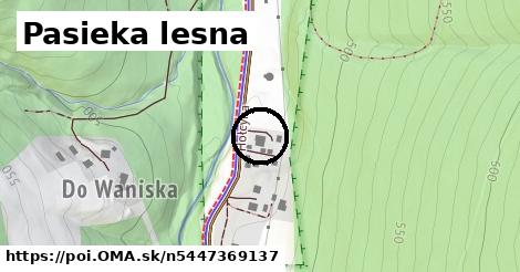 Pasieka lesna