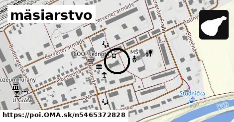 mäsiarstvo