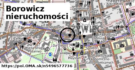 Borowicz nieruchomości