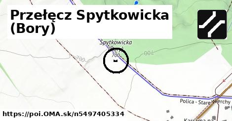 Przełęcz Spytkowicka (Bory)