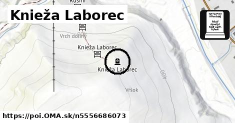 Knieža Laborec