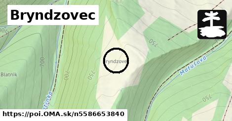 Bryndzovec