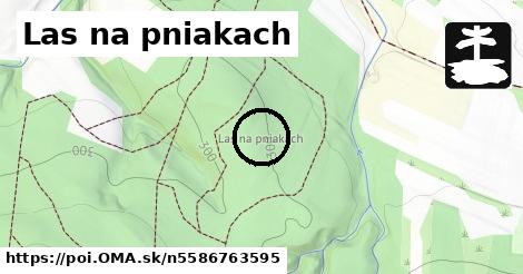 Las na pniakach