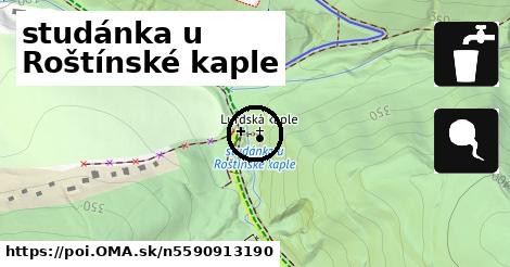 studánka u Roštínské kaple