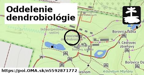 Oddelenie dendrobiológie