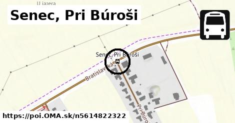 Senec, Pri Búroši