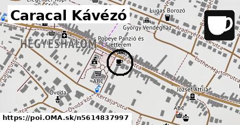 Caracal Kávézó