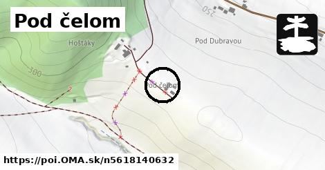 Pod čelom