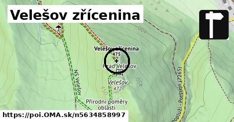 Velešov zřícenina