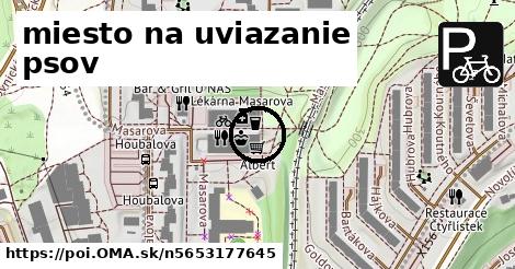 miesto na uviazanie psov