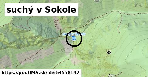 suchý v Sokole