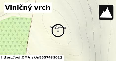 Viničný vrch