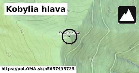 Kobylia hlava