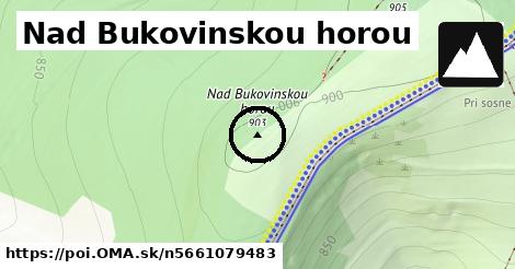 Nad Bukovinskou horou