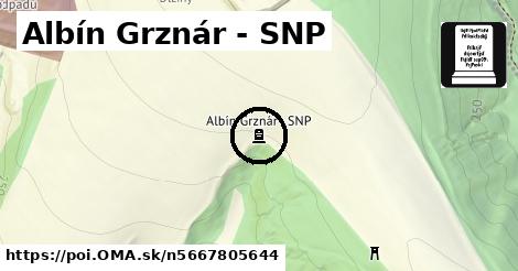 Albín Grznár - SNP