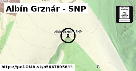 Albín Grznár - SNP