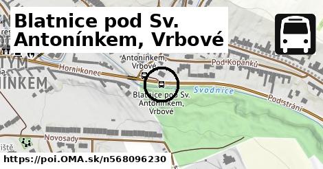 Blatnice pod Sv. Antonínkem, Vrbové